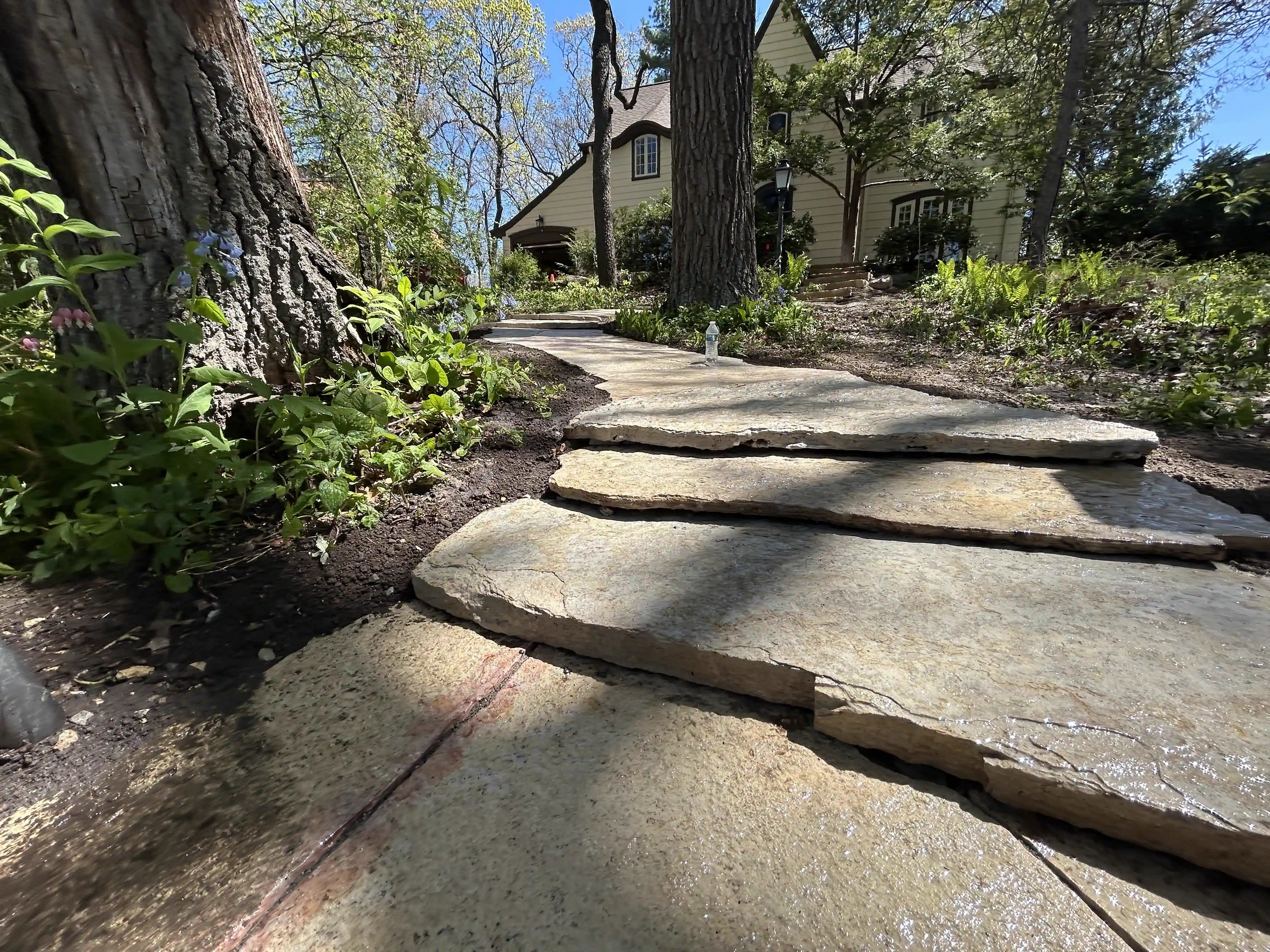 Wide natural stone steps leading to a landscaped entrance